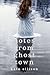 Notes from Ghost Town Hardcover February 12, 2013