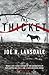 The Thicket[THICKET][Paperback]