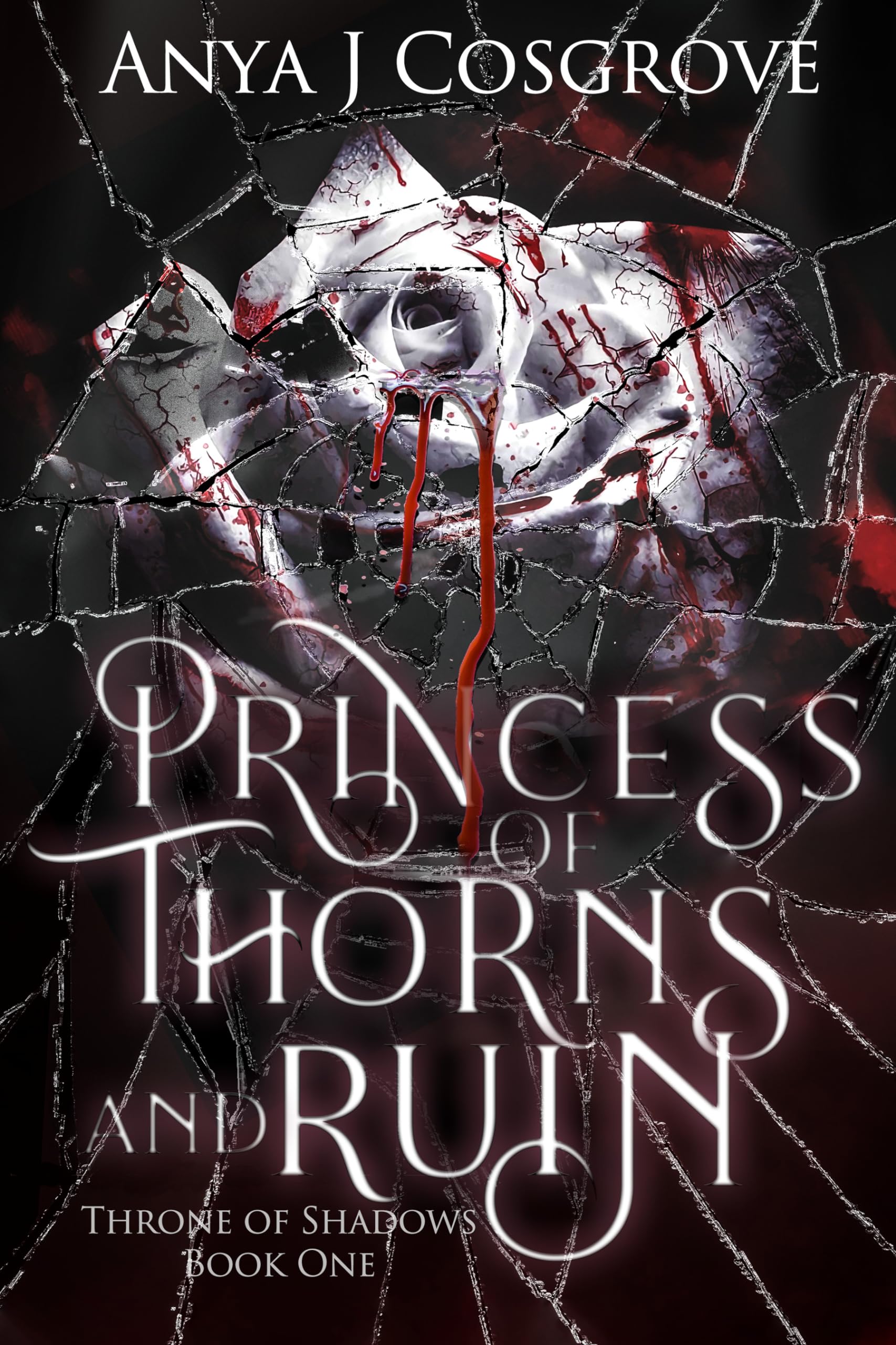 Princess of Thorns and Ruin (Throne of Shadows, #1)