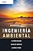 Introducción a la Ingenierí...