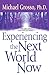 Experiencing the Next World Now by Michael Grosso Ph.D.(2004-01-06)