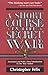A Short Course in the Secret War by Christopher Felix (2000-07-11)