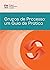Process Groups: A Practice Guide (BRAZILIAN PORTUGUESE)