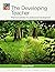 The Developing Teacher by Duncan Foord (2-Apr-2009) Paperback