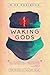 Waking Gods by Mike Robinson (2016-01-11)