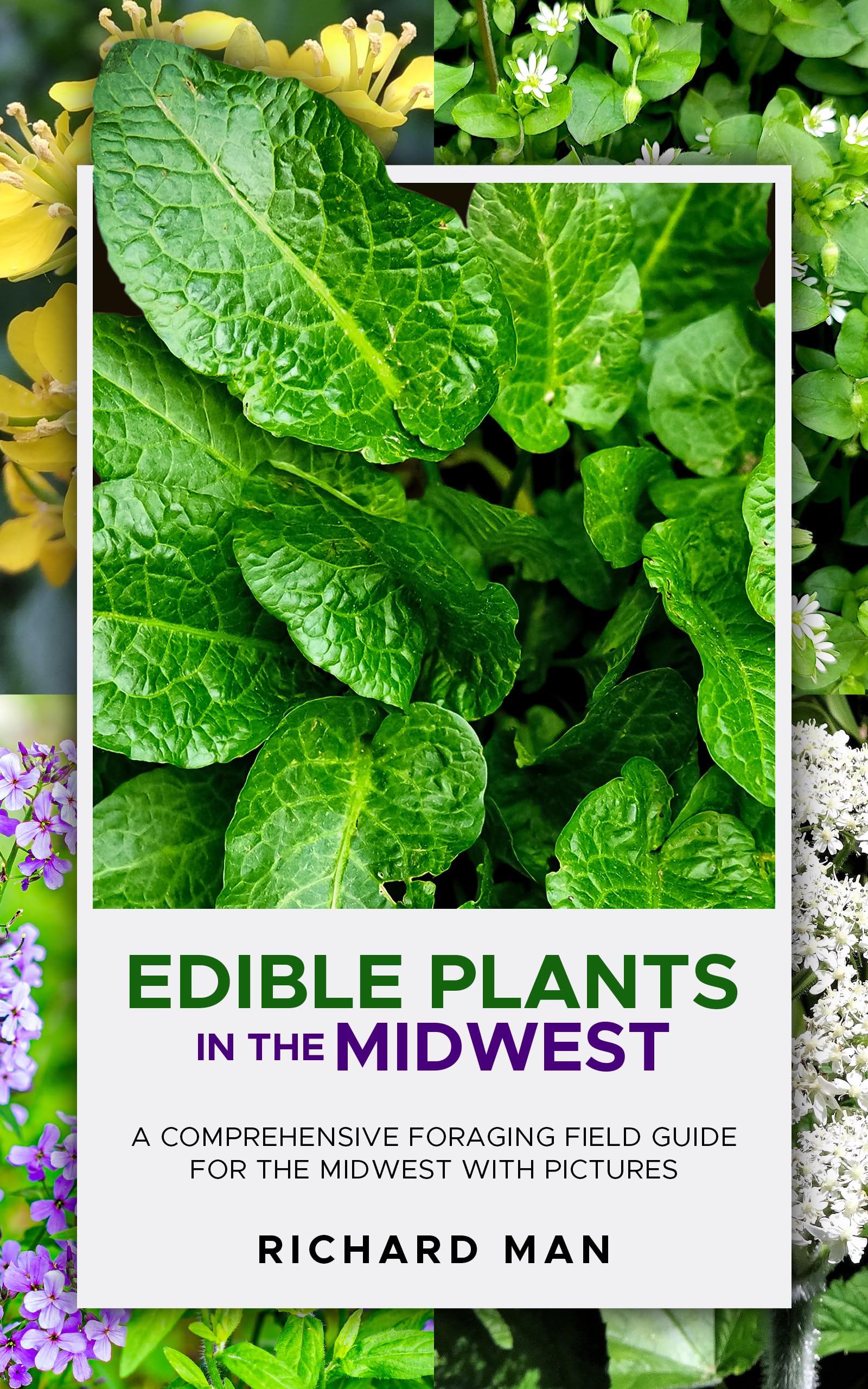 Edible Plants in the Midwest: A Comprehensive Foraging Field Guide for the Midwest with Pictures (Forager's Guide: Edible Plants of the World)