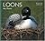 Loons (Worldlife Library) by Roy Dennis (1993-06-21)