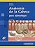 Anatomia De La Cabeza Para Odontologos. PRECIO EN DOLARES by José Luis Velayos