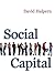 Social Capital by David Halpern (15-Oct-2004) Paperback