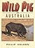 Wild Pig in Australia