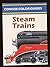 Steam Trains (Concise Color Guides)