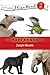 Jungle Beasts (I Can Read! / Made By God) by Zondervan (2011-07-31)