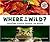 Where in the Wild?: Camouflaged Creatures Concealed... and Revealed by David Schwartz (2007-09-01)