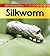 Silkworm (Life Cycle of a . . .) by Fridell, Ron, Walsh, Patricia (July 1, 2009) Paperback