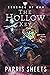 The Hollow Key: A Young Adu...
