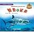 Whale Worries & Shark Showdown