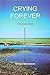 Crying Forever: A Nuclear Diary by Struan Stevenson (2006-04-04)