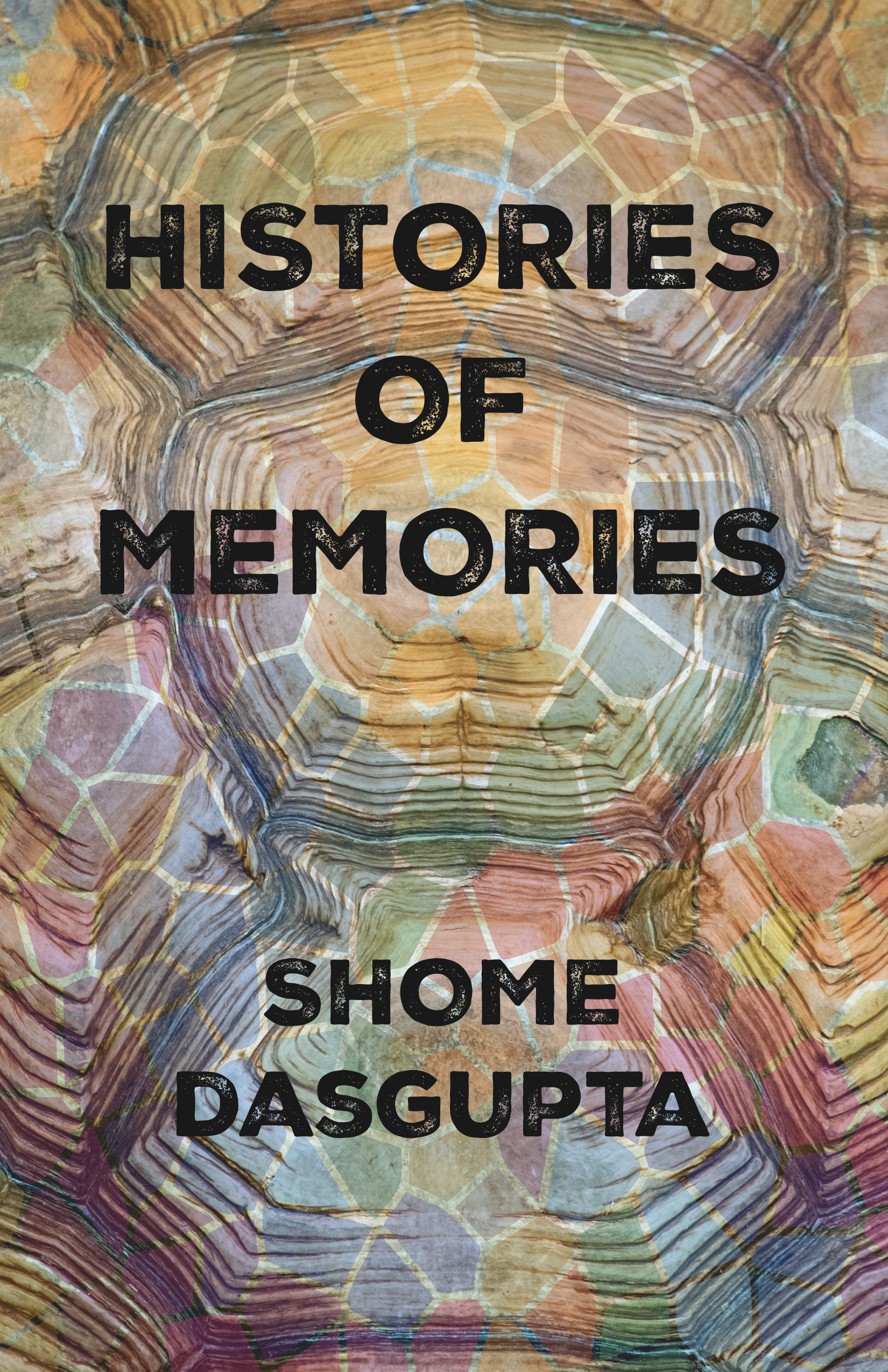 Histories Of Memories