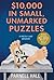 $10,000 in Small, Unmarked Puzzles (Puzzle Lady Mystery)