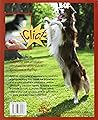Superperro: Adiestra con el clicker: obediencia, divertidos ejercicios y agility