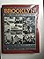 Brooklyn.and How It Got That Way