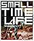 Small Time Life by Andre Stitt (2001-11-13)