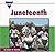 Juneteenth (Let's See Library - Holidays) by Natalie M. Rosinsky (2004-09-01)