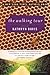 The Walking Tour by Kathryn Davis (2000-11-15)