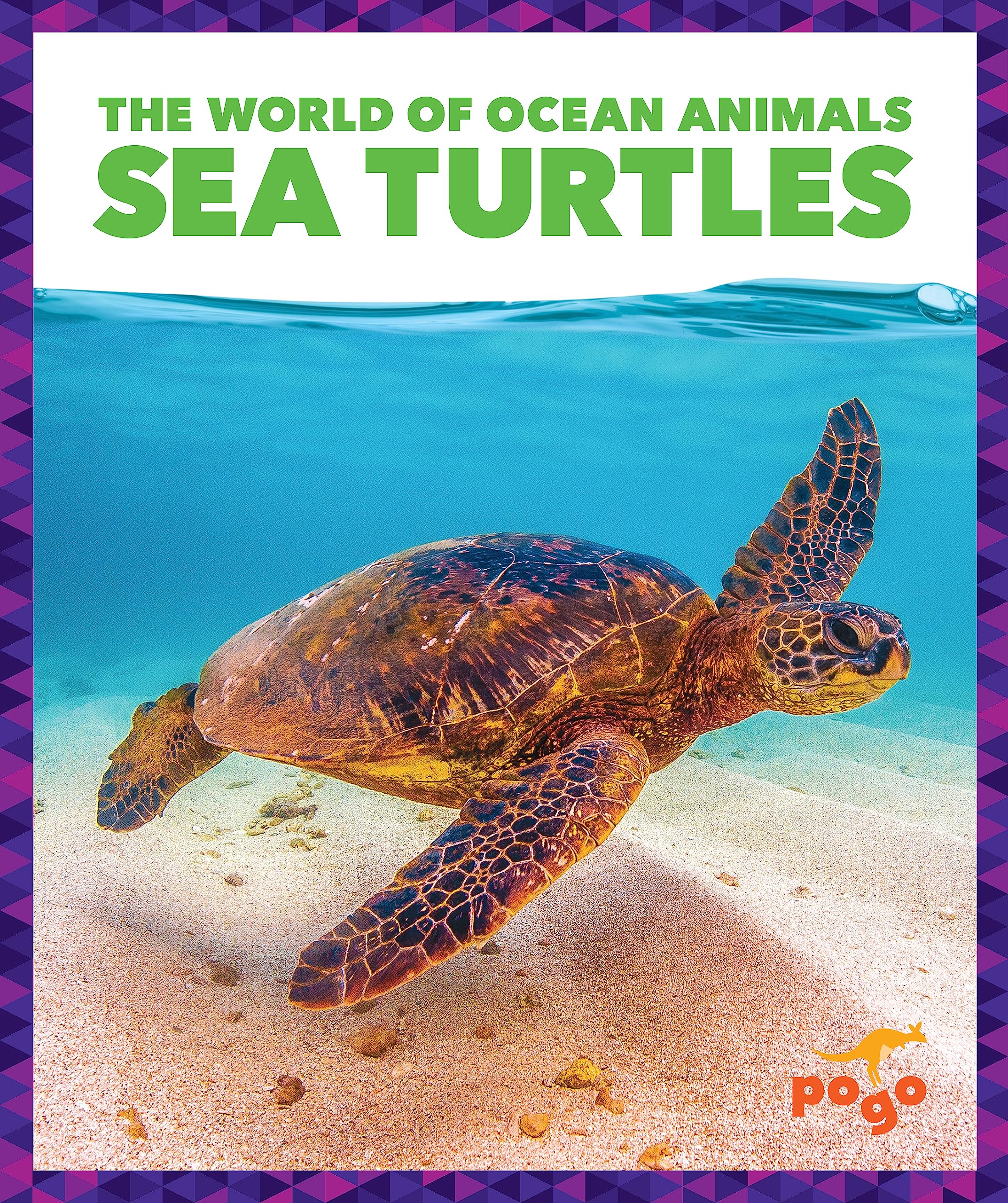 Sea Turtles (Pogo Books : The World of Ocean Animals)