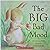 The Big Bad Mood by M. Christina Butler