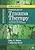 Principles of Trauma Therap...