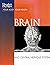 The Brain and the Central Nervous System (Your Body Your Health)