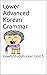 Lower Advanced Korean Grammar by Seulgi lee