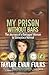My Prison Without Bars: The Journey of a Damaged Woman to Someplace Normal by Taylor Evan Fulks (2012-11-24)
