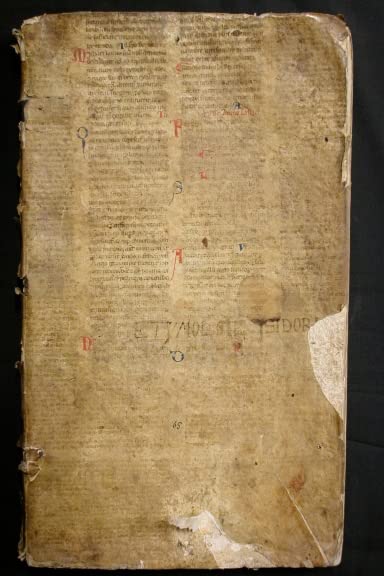 Isidore's SYNONYMS and DIFFERENCES (Paperback)