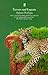 Terrors and Experts by Adam Phillips (3-Feb-1997) Paperback