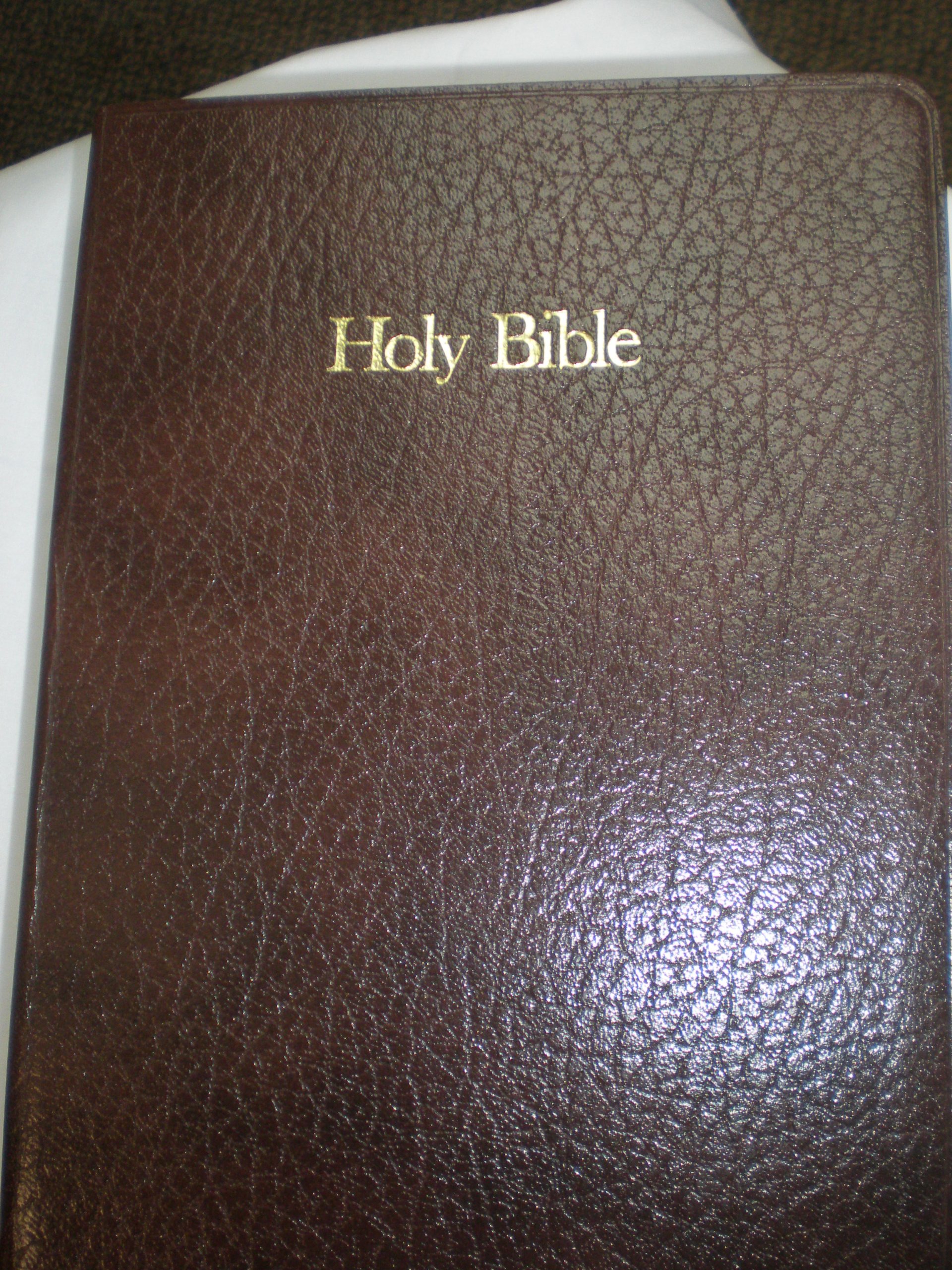 Holy Bible, New American Standard No. 9583Br: Reference Bible, Brown Leatherflex