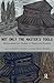 Not Only the Master's Tools: African American Studies in Theory and Practice (Cultural Politics & the Promise of Democracy) by Routledge (2006-07-28)