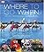 Where To Go When by Dorling Kindersley (Feb 24 2009)