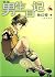 A Boys Diary (Chinese Edition)