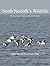 North Norfolk's Wildlife by Andrew Bloomfield