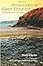 Stewards of God's Delight: Becoming Priests of the New Creation by Mark Clavier (2015-12-17)