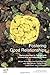 Fostering Good Relationships: Partnership Work in Therapy with Looked After and Adopted Children (United Kingdom Council for Psychotherapy Series) by Miriam Richardson (2015-12-30)