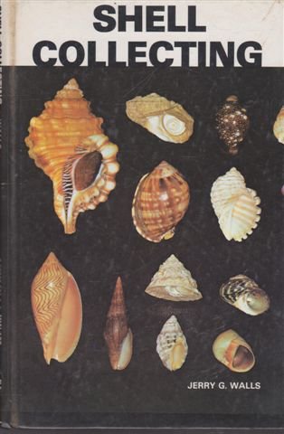 Shell Collecting (Hardcover)