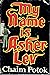 MY NAME IS ASHER LEV By CHAIM POTOK 1972 First Edition