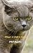 [(Shep : A Cat's Tale)] [By (author) Phil Syphe] published on (September, 2015)