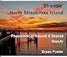 Straddie - North Stradbroke Island