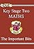 KS2 Maths : The Important Bits : (Study Books) (1999-02-26)