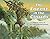 The Forest in the Clouds by Sneed B. Collard III (2000-07-01)