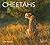 Cheetahs (WLL) by Luke Hunter (2000-12-14)